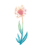 Flower, Nature, Botany