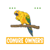Parakeet Parrot Parakeet Bird