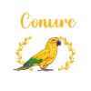 Parakeet Parrot Parakeet Bird