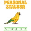 Parakeet Parrot Parakeet Bird