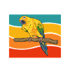 Parakeet Parrot Parakeet Bird