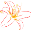 Flame Blossom Line Art