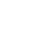 Bat Tarot