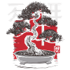 Bonsai Tree Japanese Bonsai