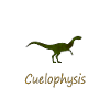 Cuelophysis Dino
