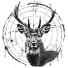 Hirsch Jagd Deer Hunting