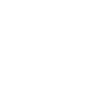Beer Bottle Beer
