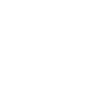 Skull Four-Eyed Boar