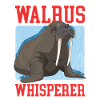 Walrus Walrus Gift