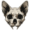Crâne de chat zombie