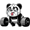 Panda Strength Training: Humorous