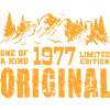 Birthday Gift 1977 - 1977
