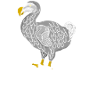 Blague de Dodo