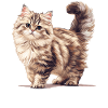 Chat Sibérien Sibirische Katze
