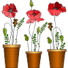 Blumen