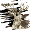 Hirsch