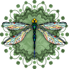 Libellule