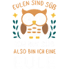 Noctambule, Hibou, Hibou, Oiseau