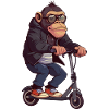Trottinette singe