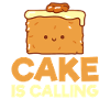 Cake Lover Cake Gift