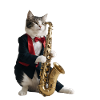 Cat Musician Saxophone