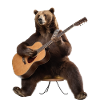Grizly Bear Guitar