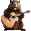 beaver groundhog guitar