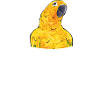 Parakeet Parrot Parakeet Bird
