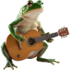 Frog Toad Muzyk Gitara