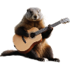 marmot musician guitar
