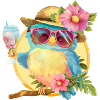 Cute owl