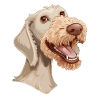 Bedlington Terrier | Cartoon Artwork