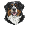 Bouvier bernois | Bouvier bernois | Caricature