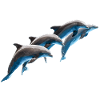 Dolphins Group Jumping, Natural