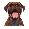 Boerboel Cartoon Artwork