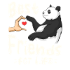 Panda Bear Lover Friend Pandas