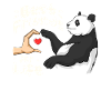 Panda Bear Lover Friend Pandas