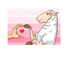 Sheep Lover Friend Lamb Lambs