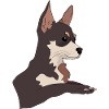 Adorable Chihuahua