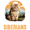 Chat Sibérien Sibirische Katze