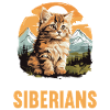 Siberian Cat Sibirische Katze