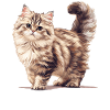 Chat Sibérien Sibirische Katze