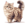 Chat Sibérien Sibirische Katze