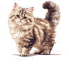 Chat Sibérien Sibirische Katze