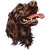 Boykin Spaniel | Cartoon Artwork