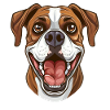 Boxer | Cartoon Artwork