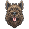 Briard | Cartoon Artwork