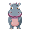 Cute hippopotamus