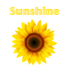 Sunchine