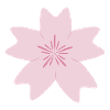 sakura